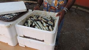 2023 07 22 TOULON SARDINADE (30)